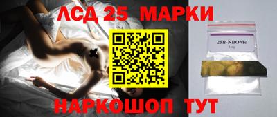шишки Кимры