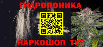 шишки Кимры