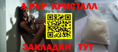 шишки Кимры